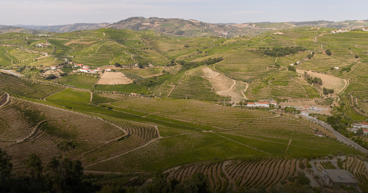 Vista sobre o vale do Douro a partir da Casa Entre Vales, em Peso da Régua